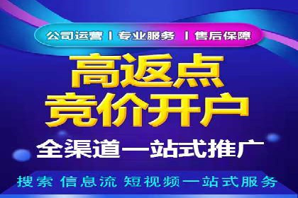 百度包年竞价案例分享：提升网站流量的秘诀